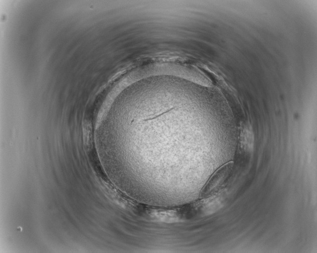 X0000087520283200705041220