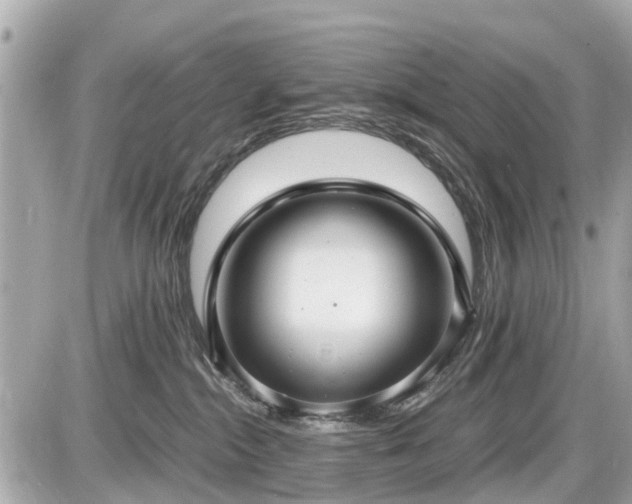 X0000087520284200705041220