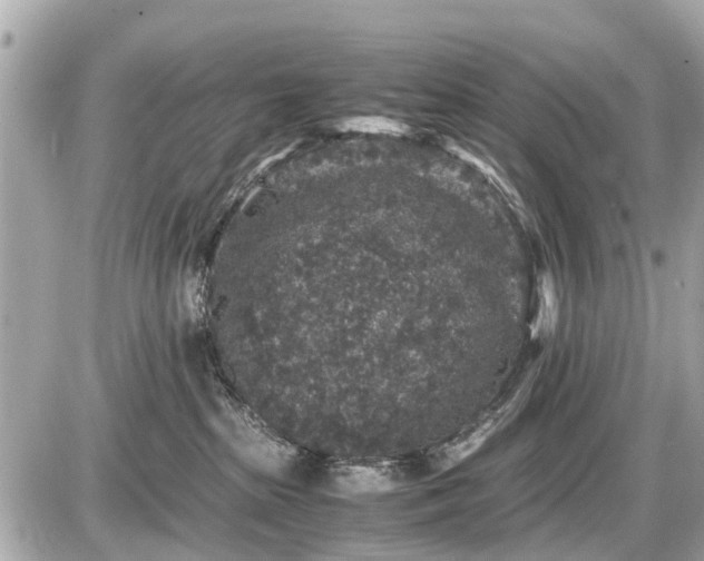 X0000087520285200705041220