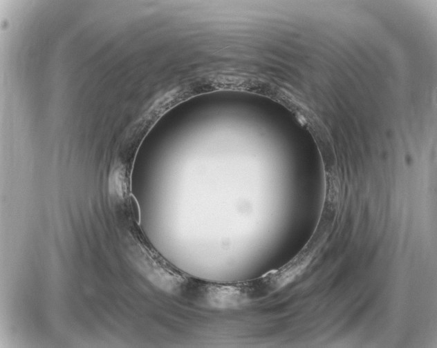 X0000087520287200705041220