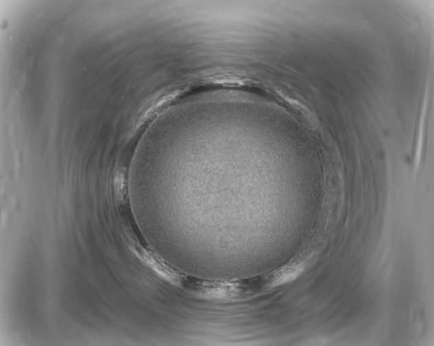 X0000087520288200705041220