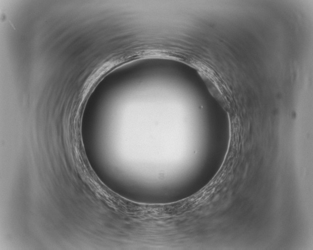 X0000087520289200705041219