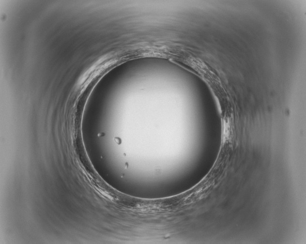 X0000087520291200705041219