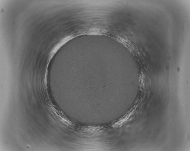 X0000087520292200705041219