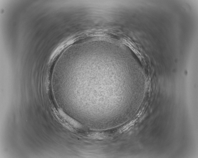 X0000087520293200705041219