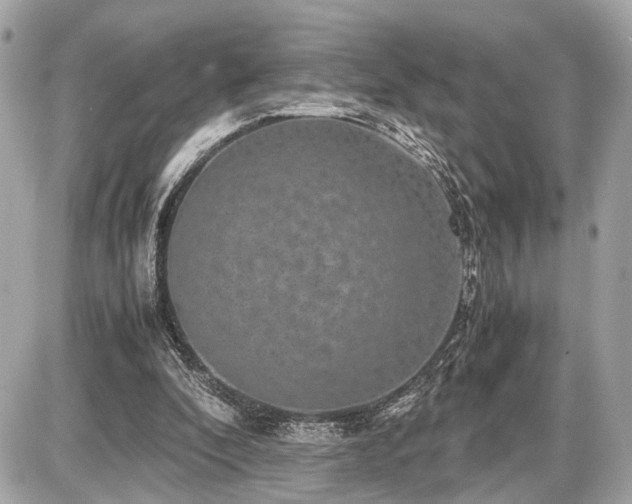 X0000087520296200705041219