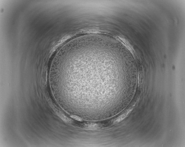 X0000087520301200705041219