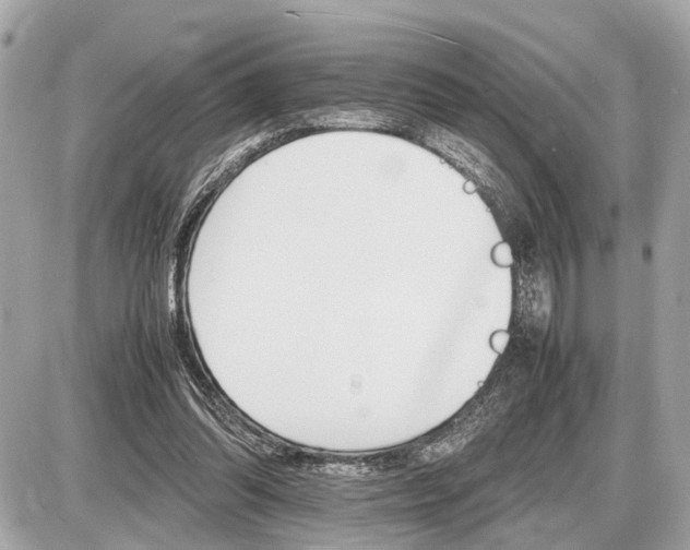 X0000087520302200705041219