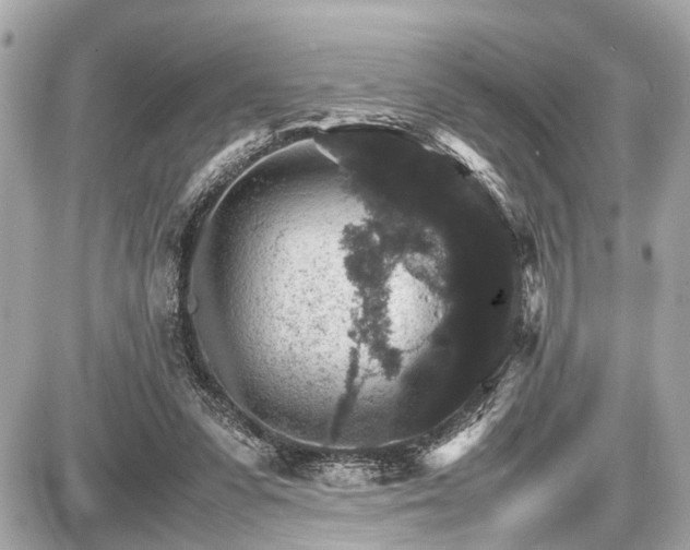 X0000087520303200705041219