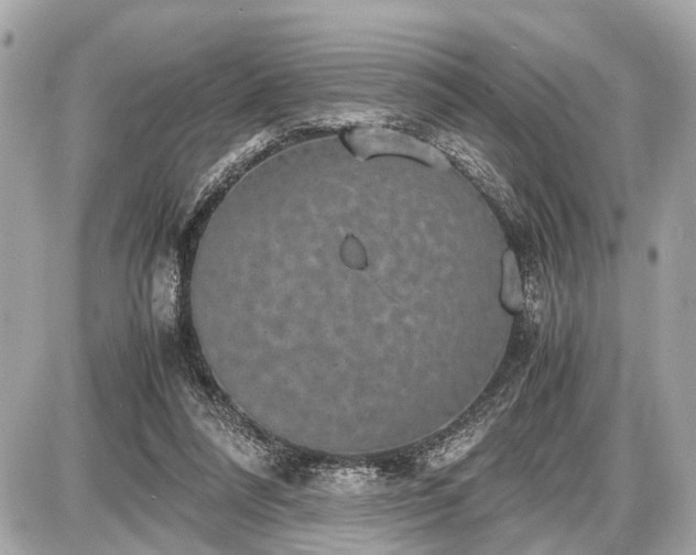 X0000087520304200705041219