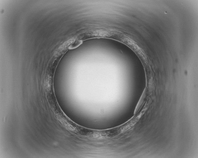 X0000087520305200705041219