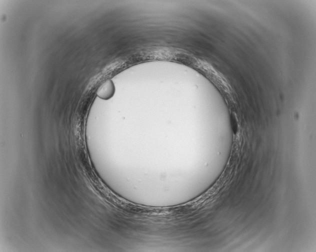 X0000087520306200705041219