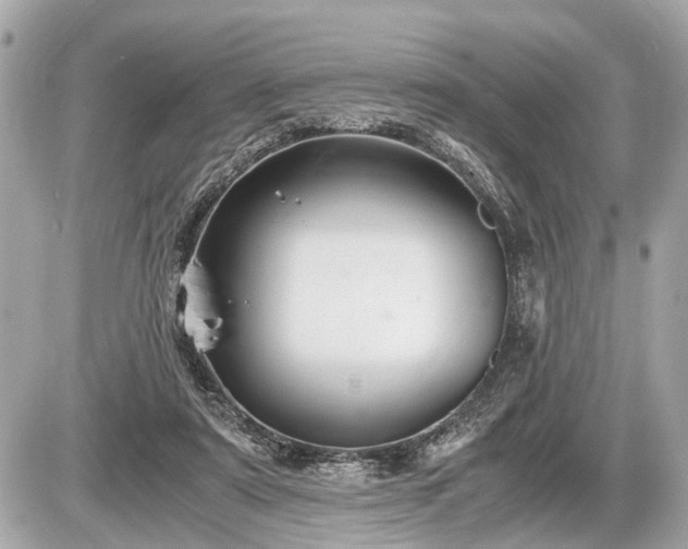 X0000087520307200705041219