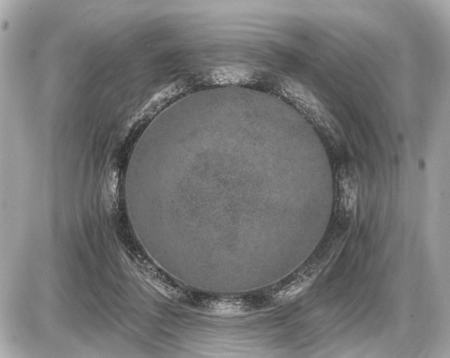 X0000087520308200705041219