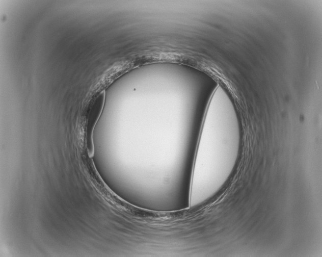 X0000087520309200705041219