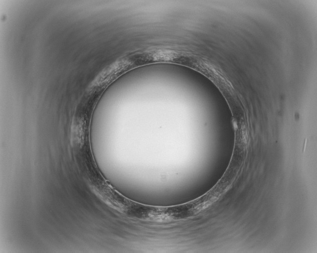 X0000087520311200705041219