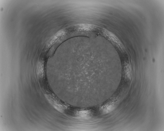 X0000087520312200705041219