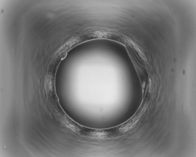 X0000087520313200705041219