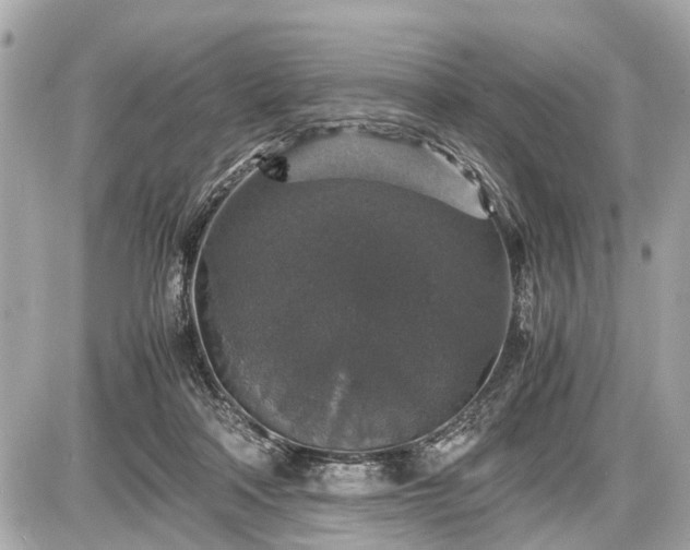 X0000087520314200705041219