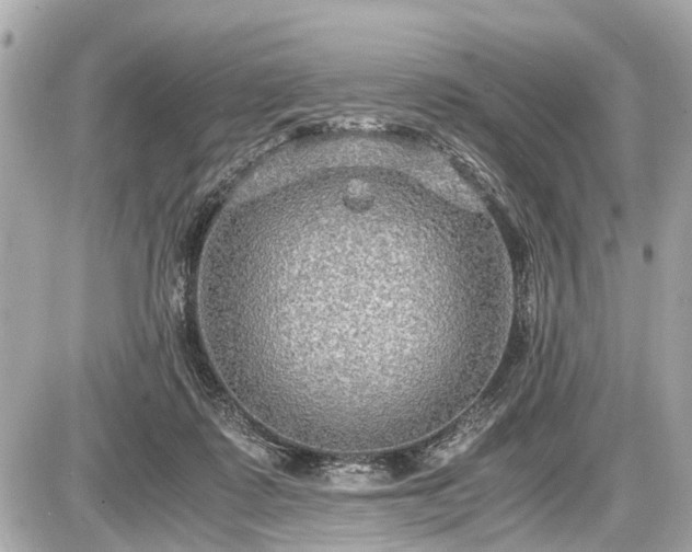 X0000087520315200705041219