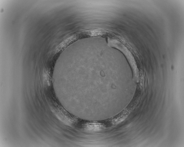 X0000087520316200705041219