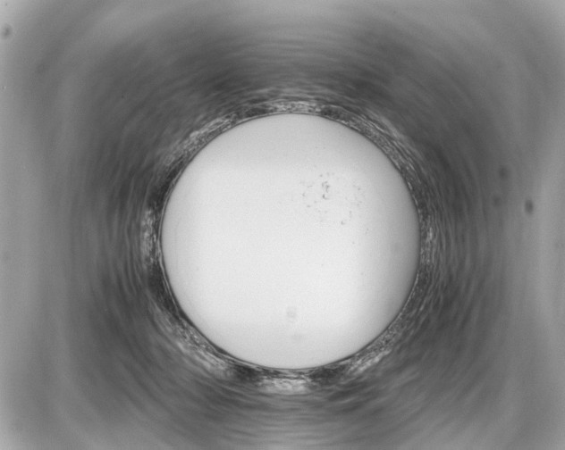 X0000087520318200705041219