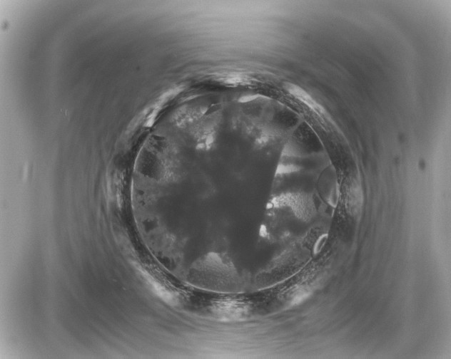 X0000087520319200705041219