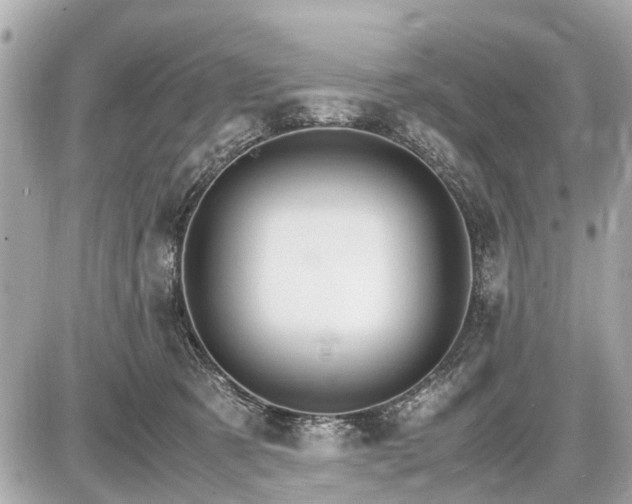 X0000087520321200705041219