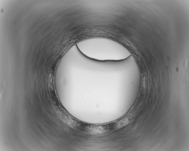 X0000087520322200705041219