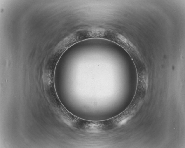 X0000087520323200705041219