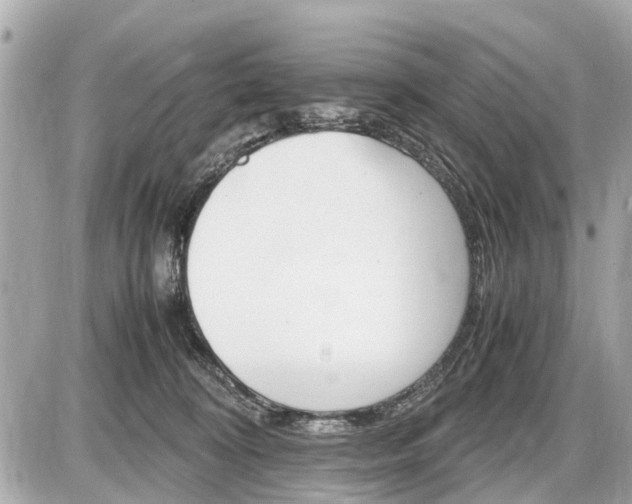 X0000087520324200705041219