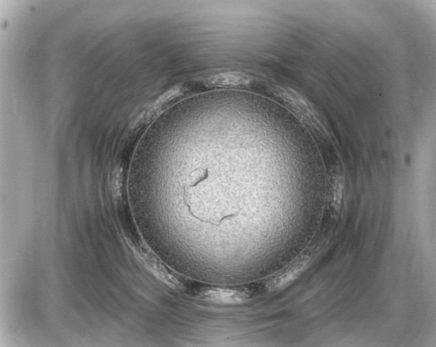 X0000087520326200705041219