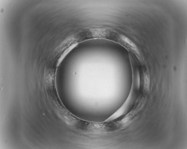 X0000087520329200705041219