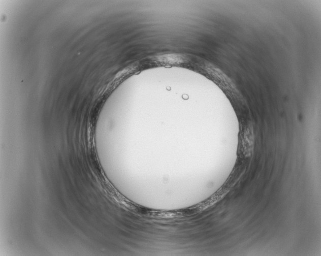 X0000087520330200705041219