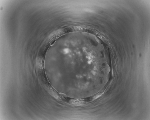 X0000087520331200705041219