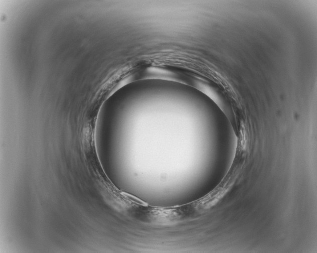 X0000087520333200705041219