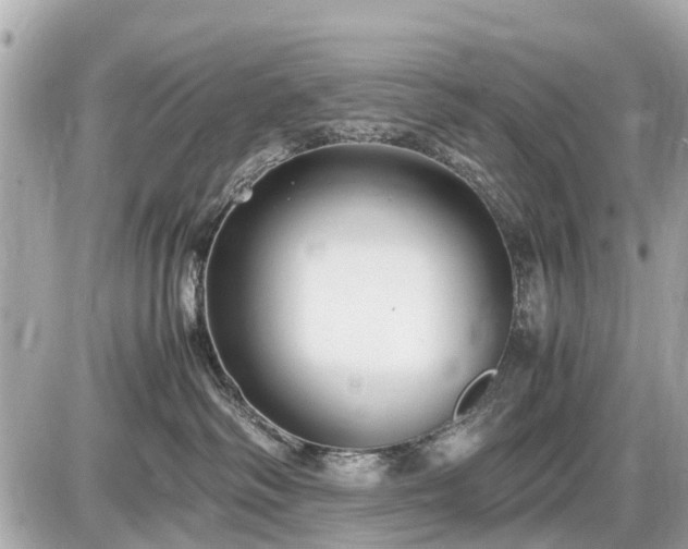 X0000087520334200705041219