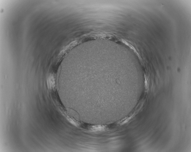 X0000087520335200705041219