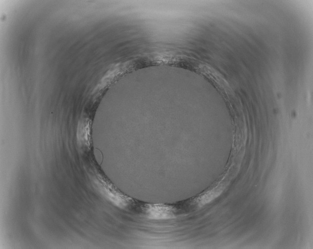 X0000087520336200705041219