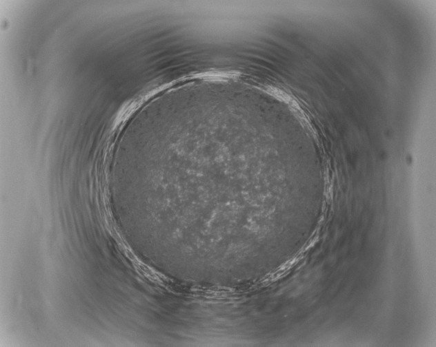 X0000087520337200705041218