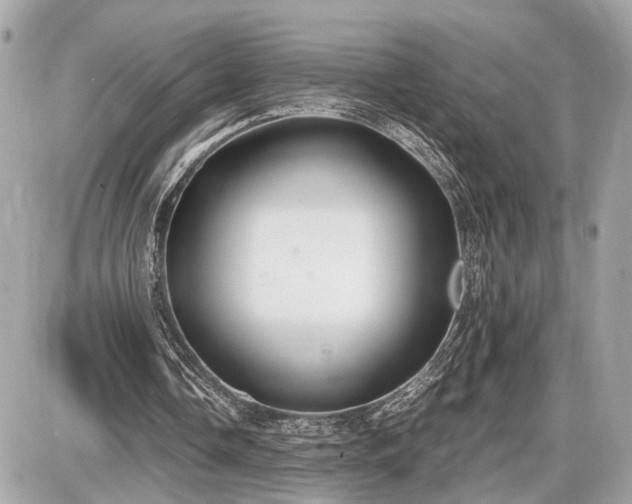 X0000087520338200705041218