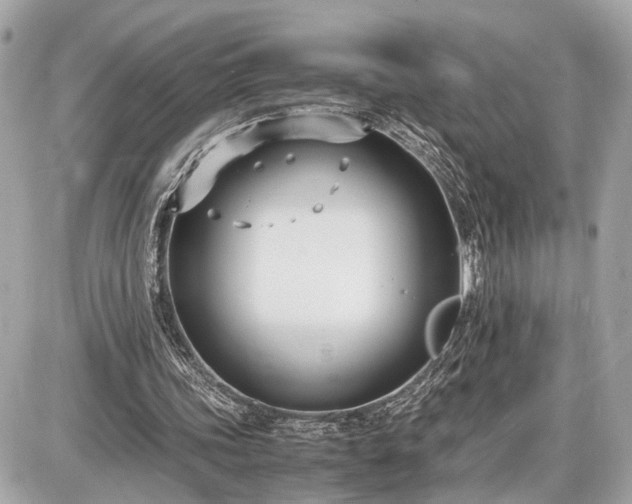 X0000087520339200705041218