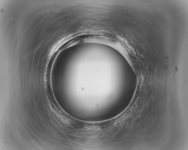 X0000087520340200705041218