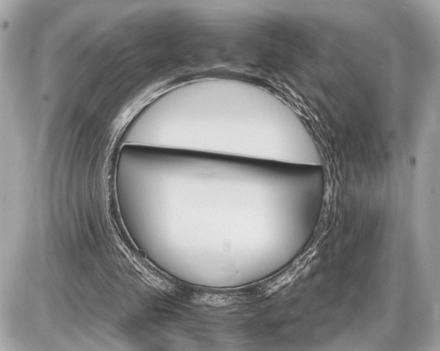 X0000087520341200705041218