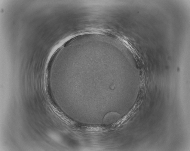 X0000087520342200705041218