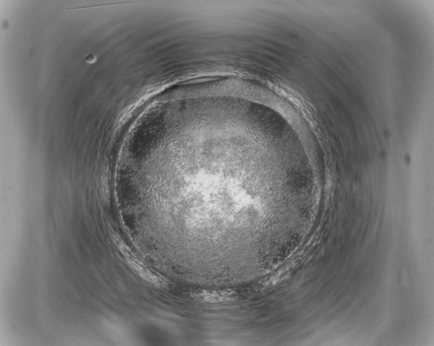 X0000087520345200705041218