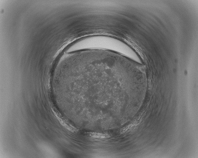 X0000087520347200705041218