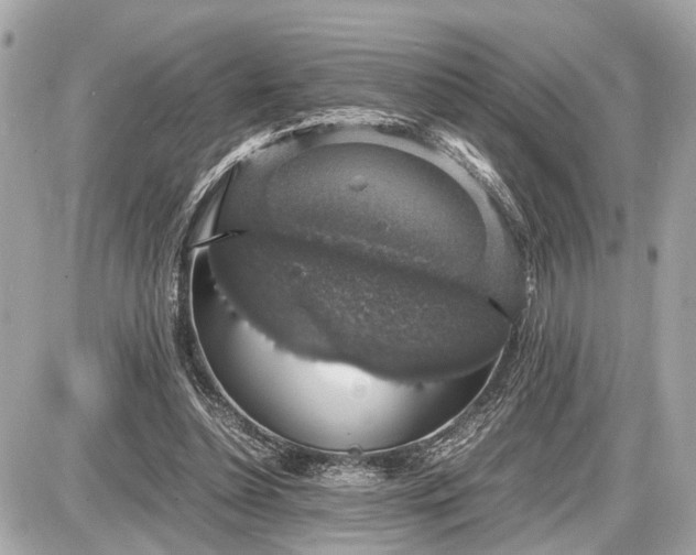 X0000087520348200705041218