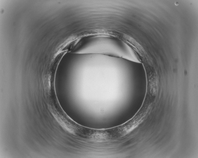 X0000087520350200705041218