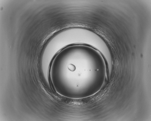 X0000087520352200705041218